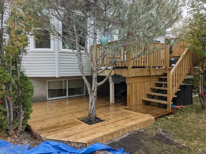 Deck surface wrapping around the tree